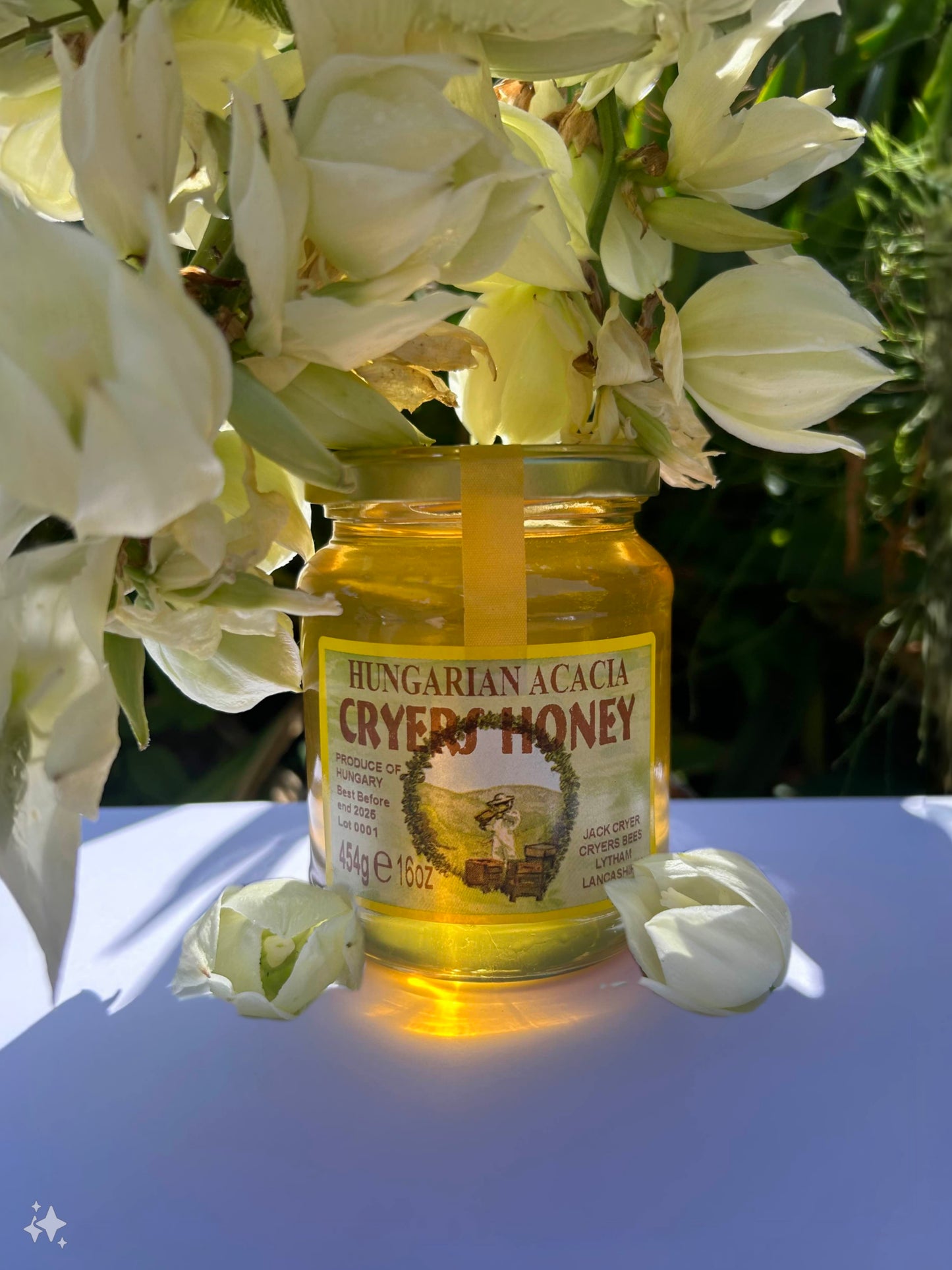 Jar of Hungarian Acacia Honey by Cryer’s Honey, displayed against a backdrop of white flowers, highlighting the honey's golden hue.