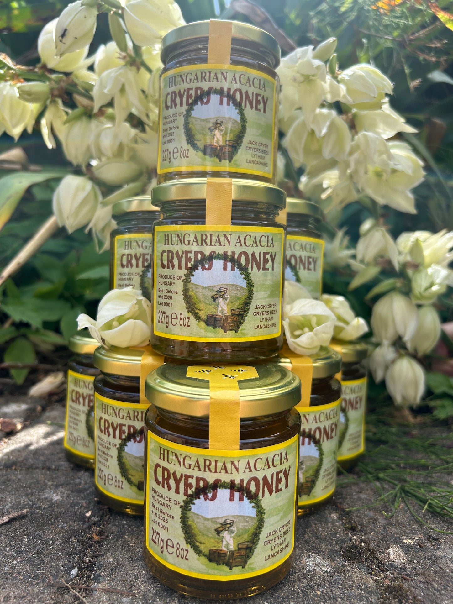 Stack of Hungarian Acacia Honey jars by Cryer’s Honey, arranged with white flowers, emphasizing the product's branding and quantity.