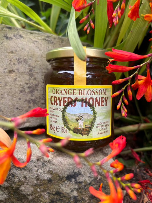 Jar of Cryer’s Orange Blossom Honey surrounded by vibrant flowers in a natural setting.