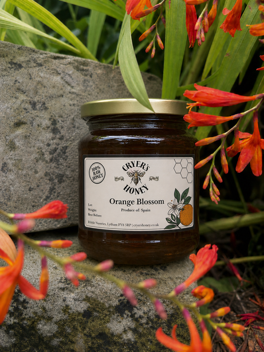 Spanish Orange Blossom Honey