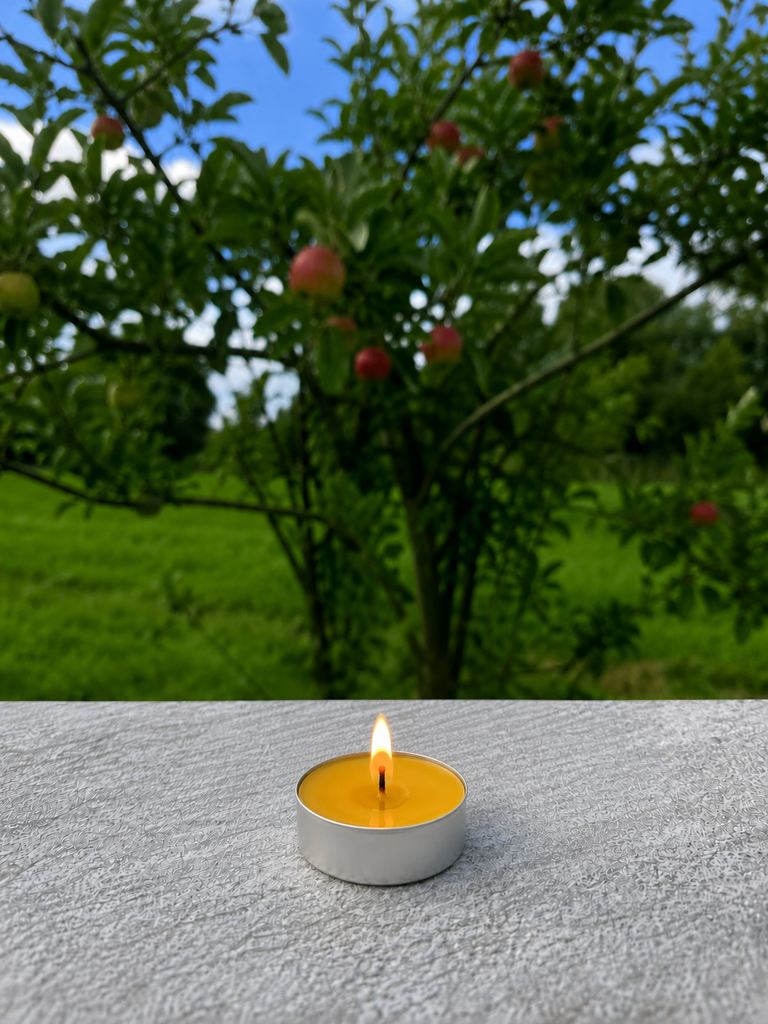 Beeswax Candle