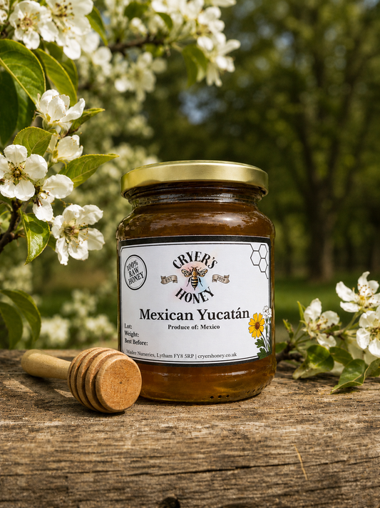 Mexican Yucatan Honey